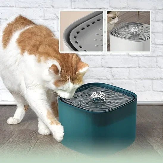 Fontaine à Eau pour Chat Silencieuse 3L | Hydratation Optimale - Mondechat