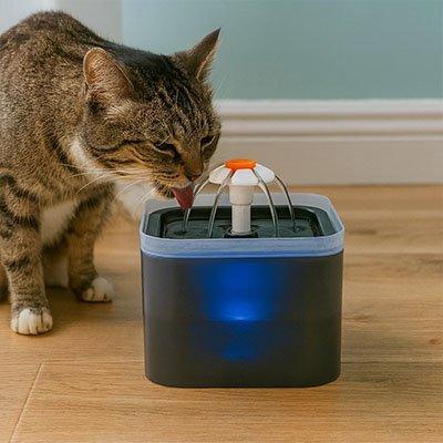 Fontaine à eau pour chat SilentPure - Hydratation Silencieuse et Pratique - Mondechat