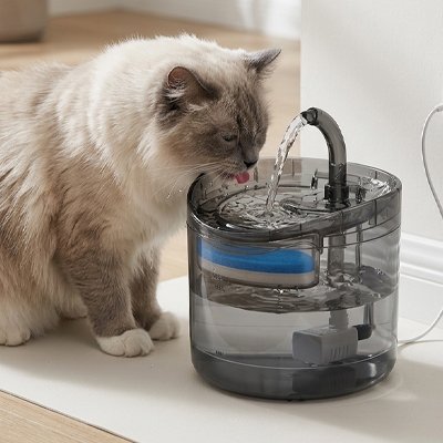 Fontaine a eau pour Chat