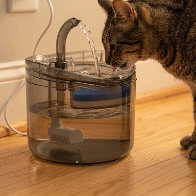 Fontaine a eau pour Chat