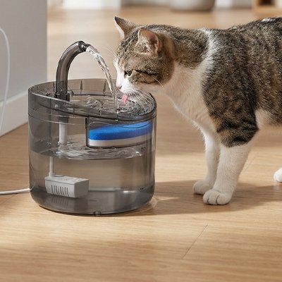 Fontaine a eau pour Chat