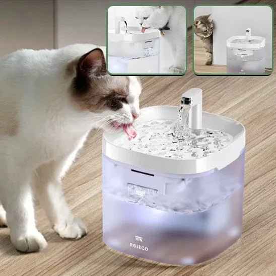 Fontaine à eau silencieuse pour chat - Bien-être et hydratation optimaux + Kit Filtration 9 Filtres Inclus - Mondechat