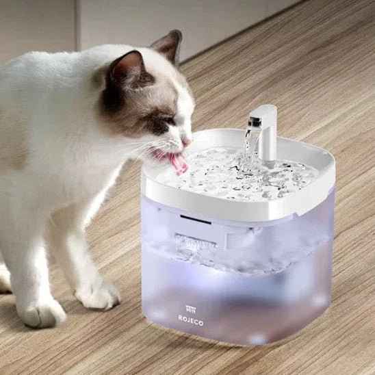 Fontaine à eau silencieuse pour chat - Bien-être et hydratation optimaux + Kit Filtration 9 Filtres Inclus - Mondechat