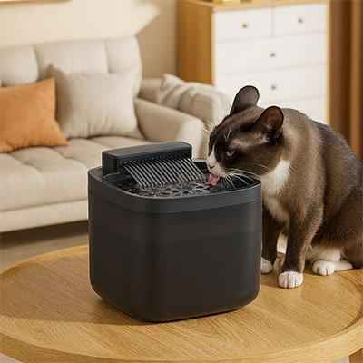 Fontaine à eau silencieuse pour chat - Bien-être félin assuré - Mondechat