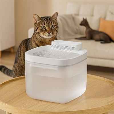 Fontaine à eau silencieuse pour chat - Bien-être félin assuré - Mondechat