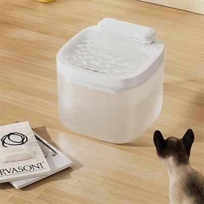 Fontaine à eau silencieuse pour chat - Bien-être félin assuré - Mondechat