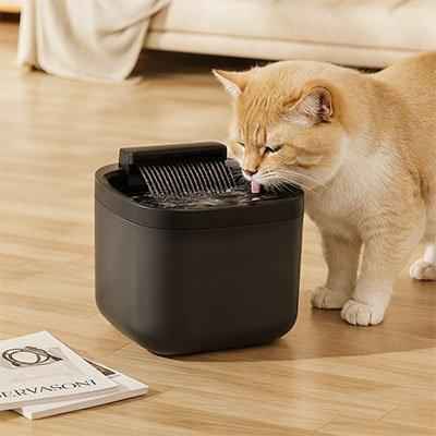 Fontaine à eau silencieuse pour chat - Bien-être félin assuré - Mondechat