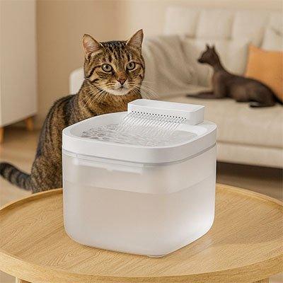 Fontaine eau silencieuse pour chat - Hydratez votre félin en douceur - Mondechat