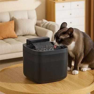 Fontaine eau silencieuse pour chat - Hydratez votre félin en douceur - Mondechat