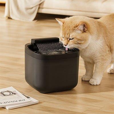 Fontaine eau silencieuse pour chat - Hydratez votre félin en douceur - Mondechat