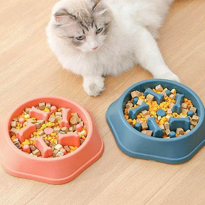 Gamelle anti glouton chat | ColorSlowCat - Mondechat