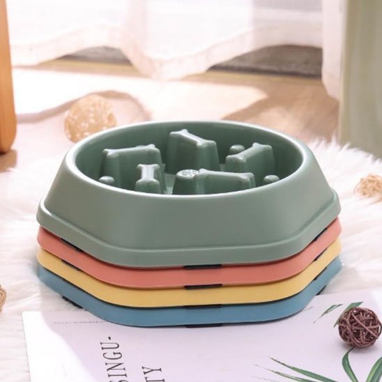 Gamelle anti glouton chat | ColorSlowCat - Mondechat