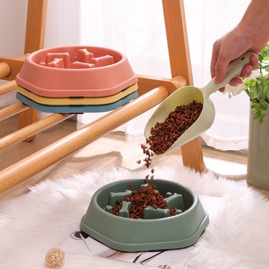 Gamelle anti glouton chat | ColorSlowCat - Mondechat