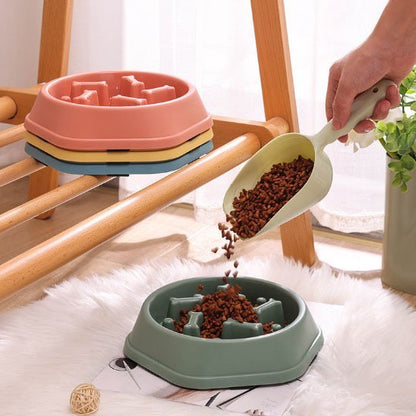 Gamelle anti glouton chat | ColorSlowCat - Mondechat