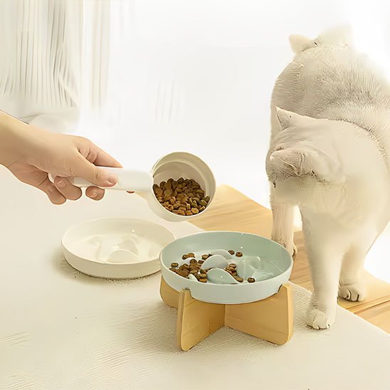 Gamelle anti glouton chat | DigestControl - Mondechat