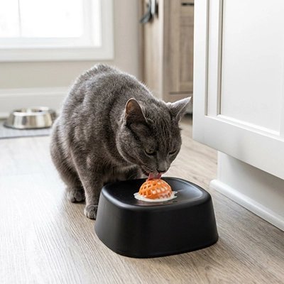 Gamelle anti glouton Chat | Digestion Optimale Lécher - Mondechat