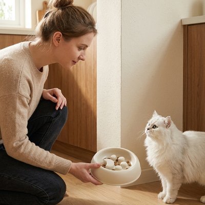 Gamelle Anti-Glouton Chat | Digestion Saine & Repas Apaisés - Mondechat
