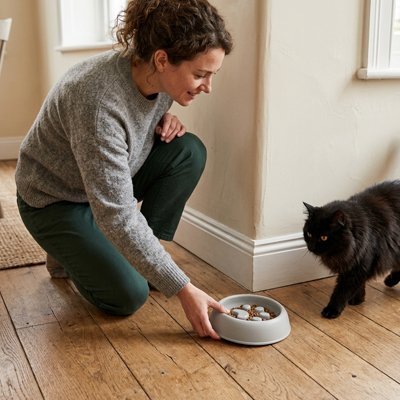 Gamelle Anti-Glouton Chat | Digestion Saine & Repas Apaisés - Mondechat