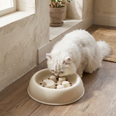Gamelle Anti-Glouton Chat | Digestion Saine & Repas Apaisés - Mondechat