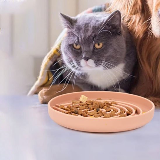 Gamelle anti glouton chat | Digesti'Slow - Mondechat