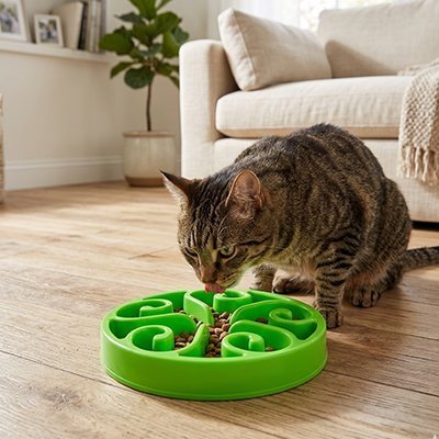 Gamelle anti glouton Chat | DigestiVet - Mondechat