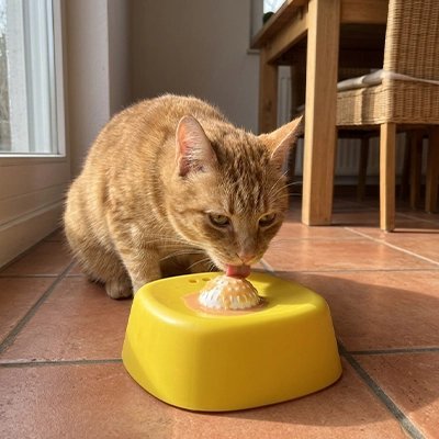 Gamelle Anti-Glouton Chat | DigestiVet Lécher - Mondechat