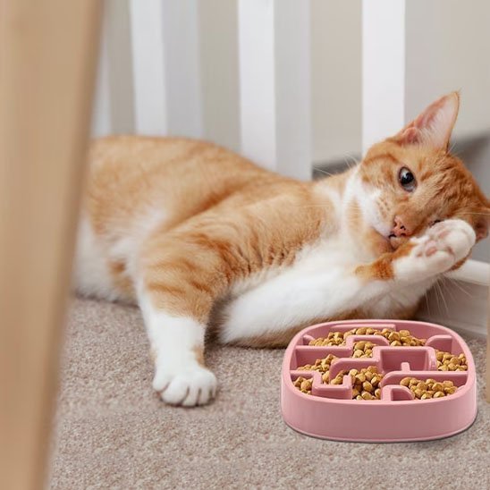 Gamelle anti glouton chat | DigestSlow - Mondechat