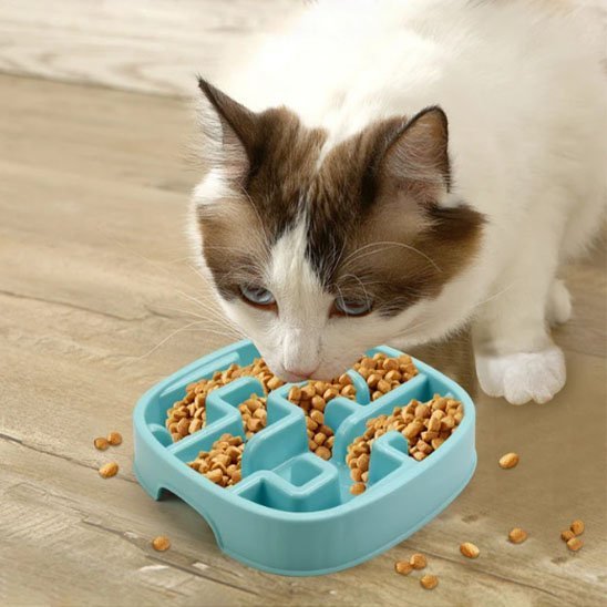 Gamelle anti glouton chat | DigestSlow - Mondechat