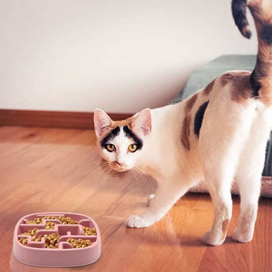Gamelle anti glouton chat | DigestSlow - Mondechat