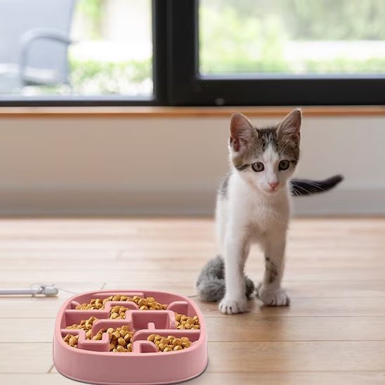 Gamelle anti glouton chat | DigestSlow - Mondechat