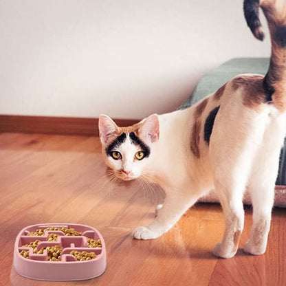 Gamelle anti glouton chat | FélinSmart - Mondechat