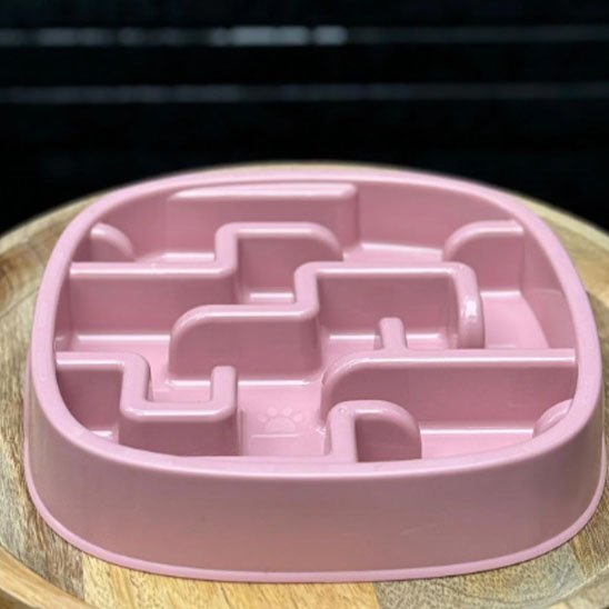 Gamelle anti glouton chat | FélinSmart - Mondechat