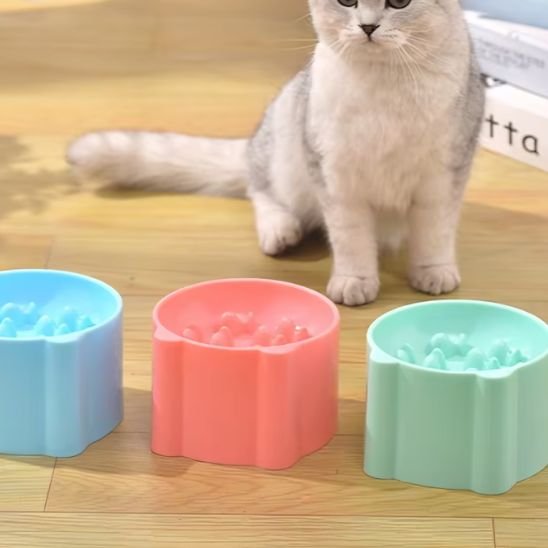 Gamelle anti glouton chat | FloraDigest - Mondechat