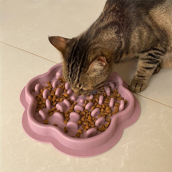 Gamelle anti glouton chat | FloralFeast - Mondechat