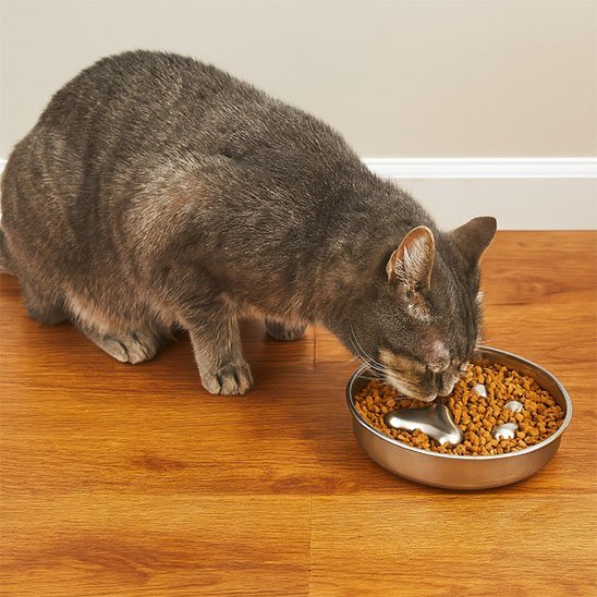 Gamelle anti glouton chat | Inox Premium - Mondechat