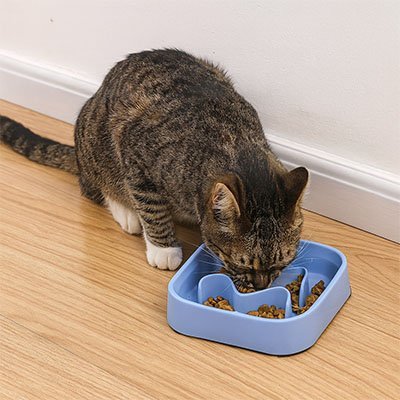 Gamelle anti glouton Chat | Puzzle SlowFeed - Mondechat