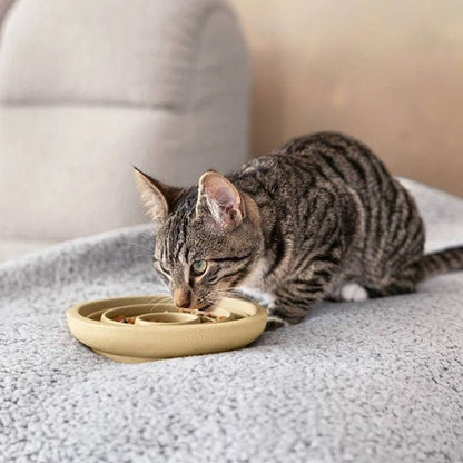 Gamelle anti glouton chat | SlowFeed - Mondechat