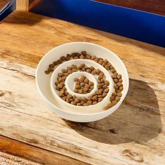 Gamelle anti glouton chat | SlowFeed - Mondechat