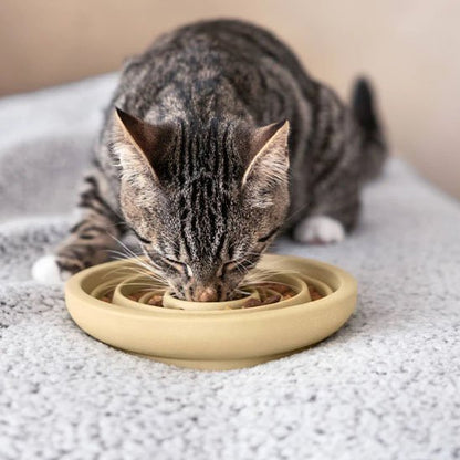 Gamelle anti glouton chat | SlowFeed - Mondechat