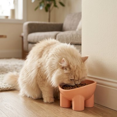 Gamelle Chat | Anti-Glouton - Mondechat