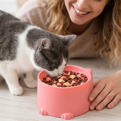 Gamelle Chat | Anti-Glouton 2.0 - Mondechat