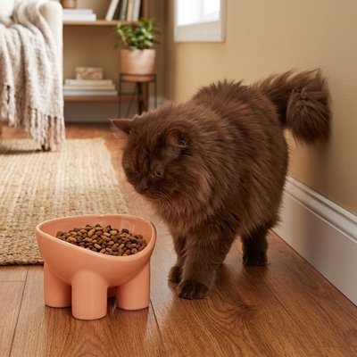 Gamelle Chat | Anti-Glouton - Mondechat