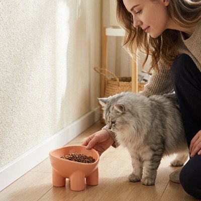 Gamelle Chat | Anti-Glouton - Mondechat