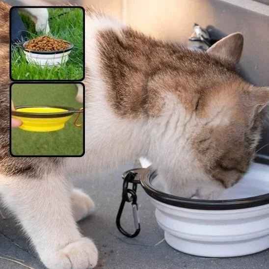 Gamelle chat confort FélinConfort : savourez en toute sérénité ! - Mondechat