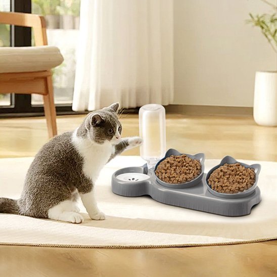 Gamelle chat | Design Ergonomique - Mondechat