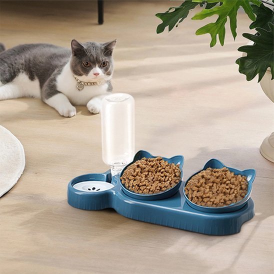 Gamelle chat | Design Ergonomique - Mondechat