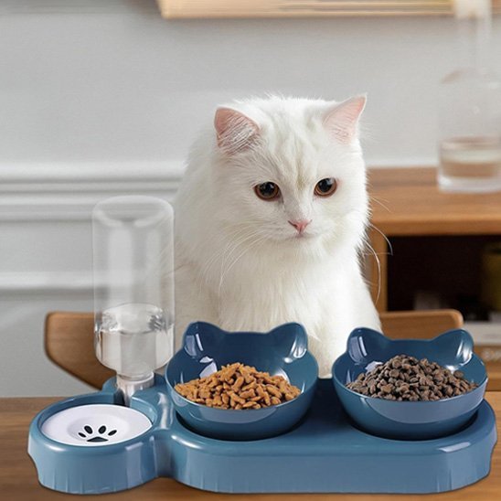 Gamelle chat | Design Ergonomique - Mondechat