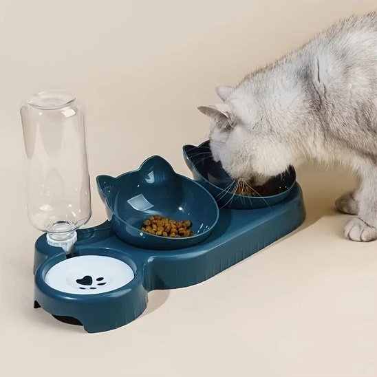 Gamelle chat | Design Ergonomique - Mondechat