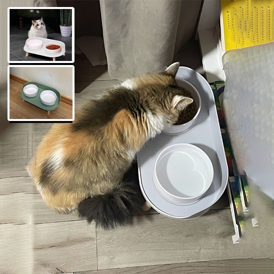 Gamelle chat Ergonomique - Mondechat