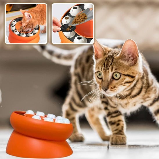 Gamelle chat Ergonomique FélinConfort - Mondechat